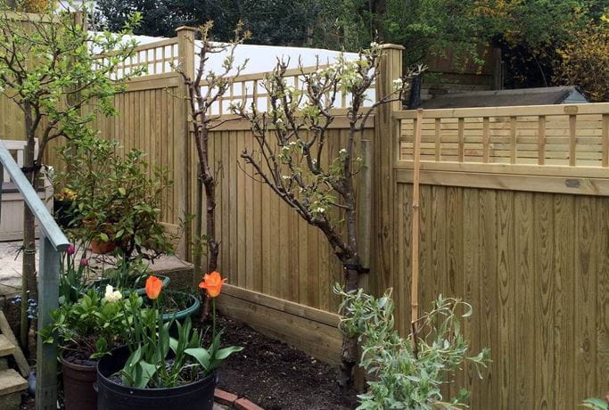 Square Trellis topper on Tng fence panels