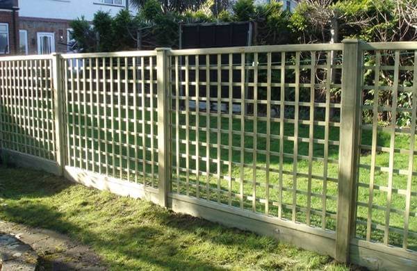 Trellis fencing
