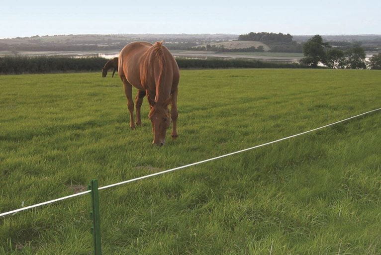 Electric fence for horse