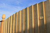 Featherboard Convex image