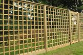 Standard Garden Trellis image