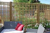 Premier Tartan Trellis image