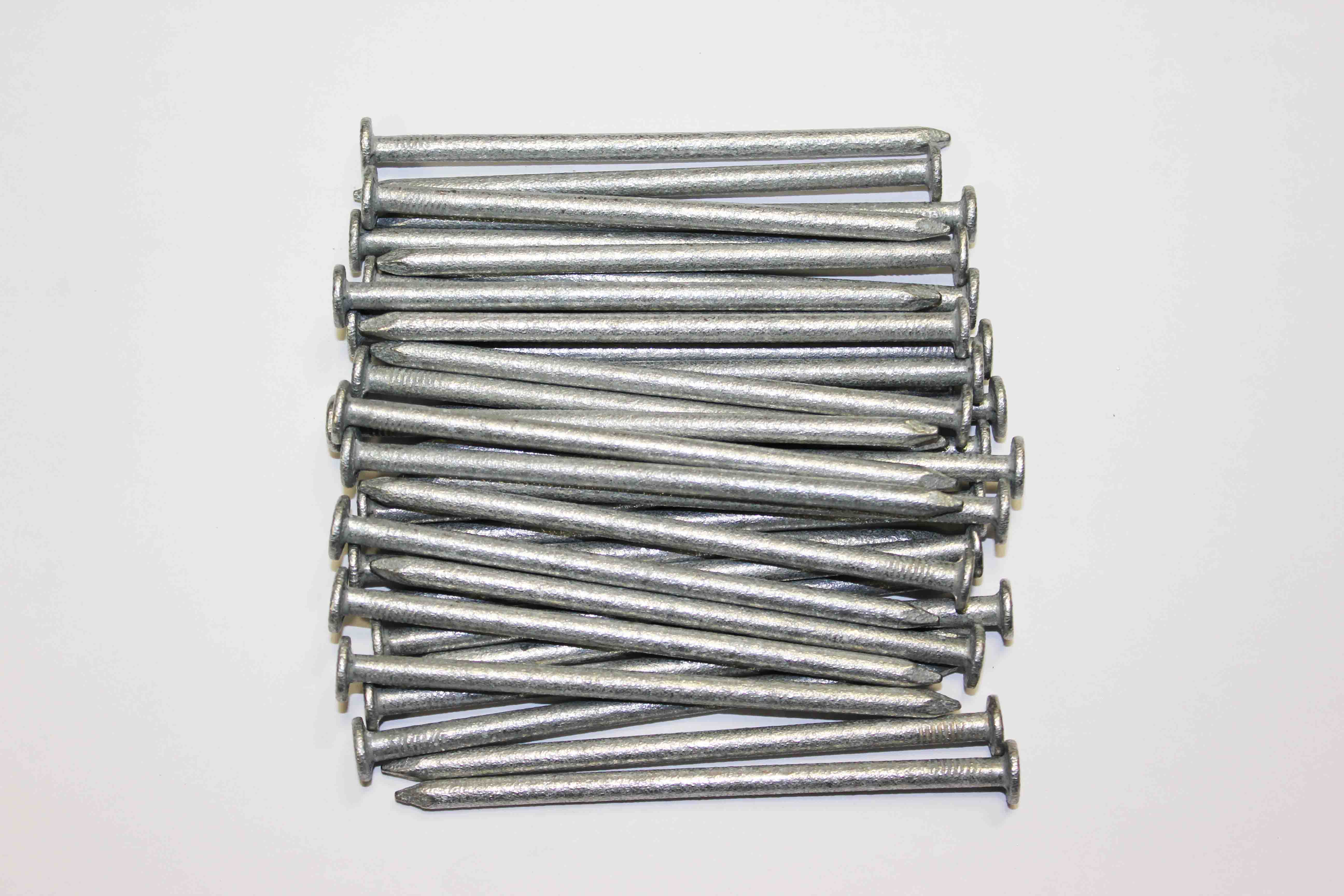 1 kg x 100 mm x 4 mm galvanised round wire head nails 