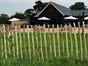 chestnut fencing