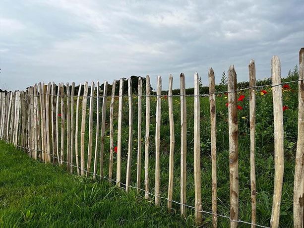 cleft fencing