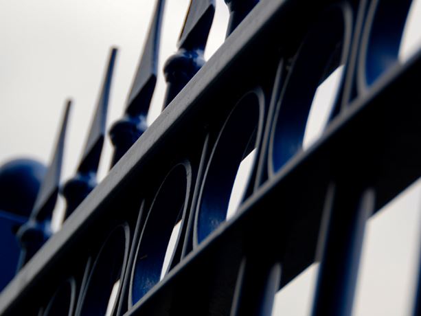 ornamental metal fencing ring detail