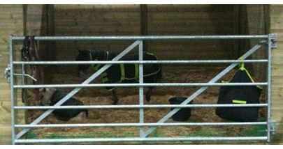 Metal Field Gate used for Equestrian Stable