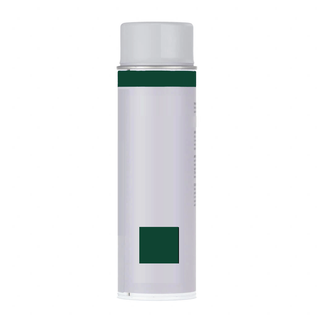 Can of touch up PPC spray Green