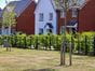 estate fencing