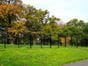 Metal estate Railings
