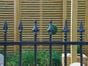 metal railings