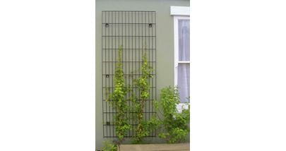 Metal Trellis for wall