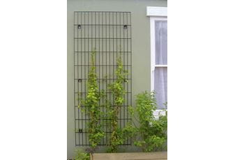 Metal Trellis