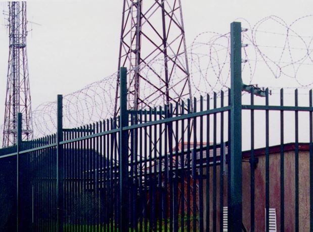 Concertina Barbed Wire