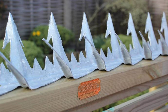 Cobra Spike Security spike on fence