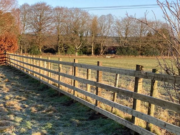 nailed-post-and-rail-fence