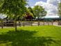 timber post and rail nailed fencing