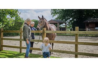 Protecting horses with fencing