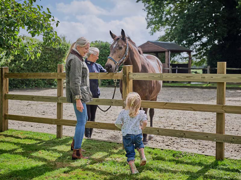 Horse fencing