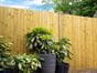 Featherboard Closeboard Fencing Panels 