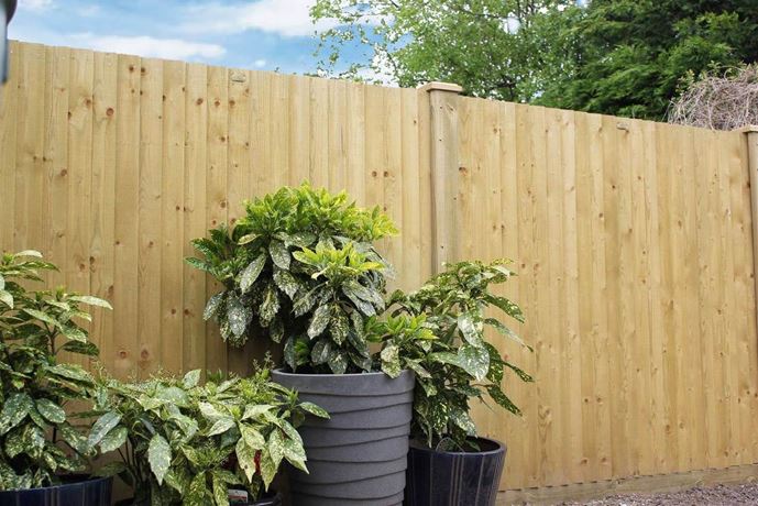Featherboard Closeboard Fencing Panels