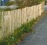 chestnut fence