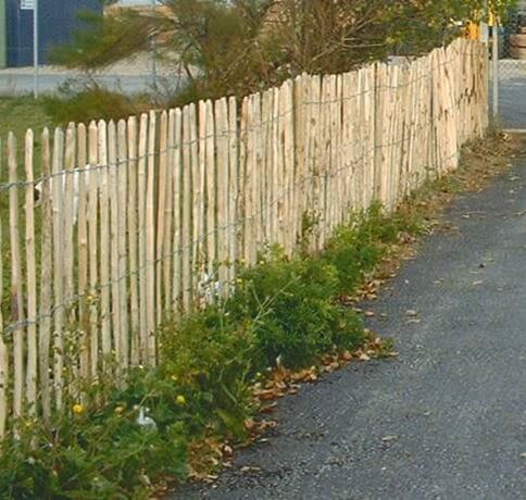 chestnut fence