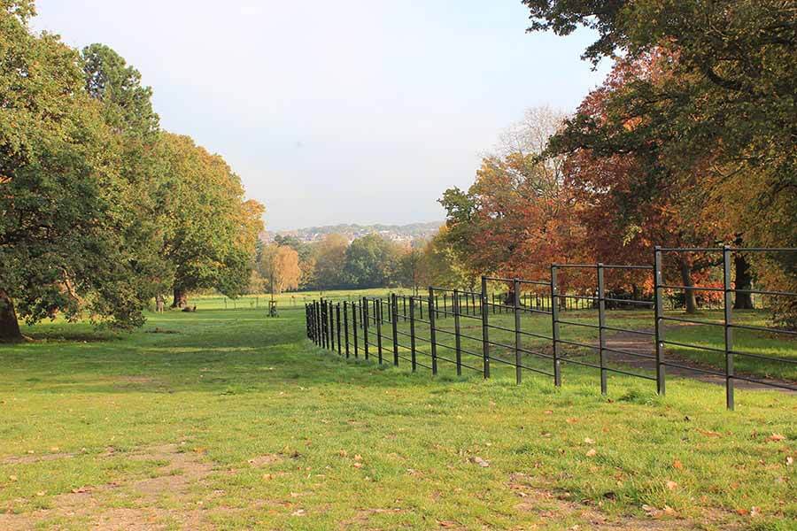 Estate Fencing Gates Estate Railings Jacksons Fencing