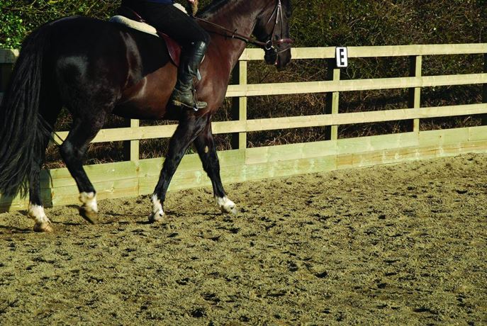 Equestrian Riding Arena Fence