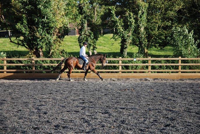 Riding Arena