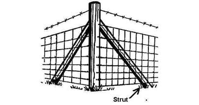 114900 - Strut