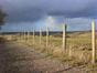 Fence stakes