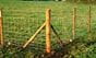 Fencing stakes and posts