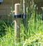 tree stake and tie