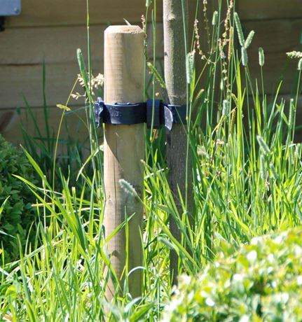 tree stake and tie