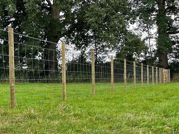 wooden fence stakes with wire