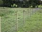 Stock fencing