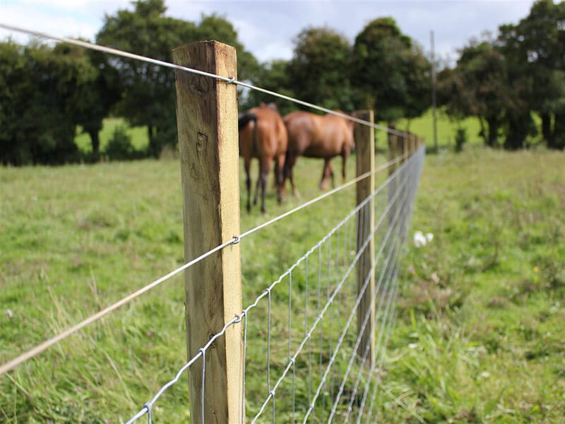 agricultural fencing wire fence