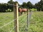 wire fence