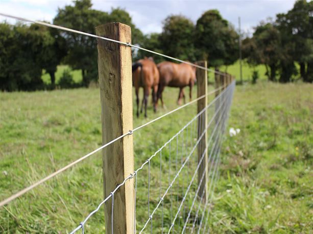 wire fence