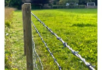 Barbed Wire