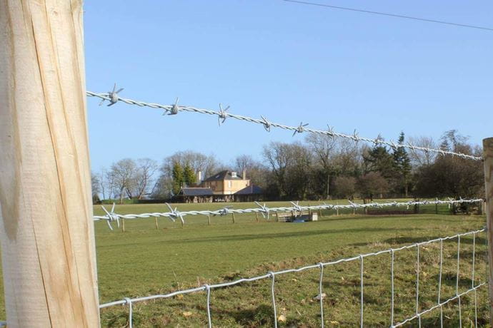 barbed wire detail