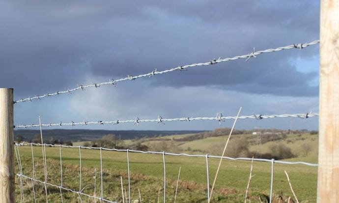 barbed wire