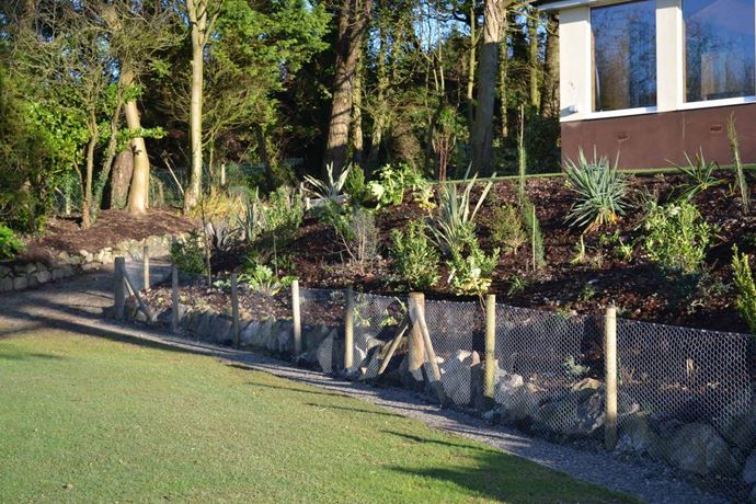 Chicken wire fencing
