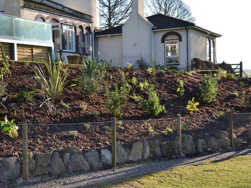 Wire fencing