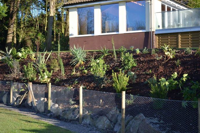 Wire fencing