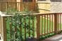 balustrade gate