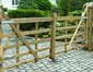 Pair Entrance Gates