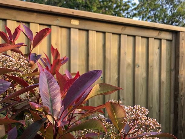 Chilham fence panel details
