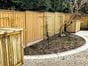Chilham garden fence panels